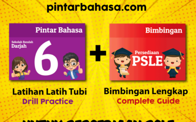 PintarBahasa.com Sudah Dilancarkan!